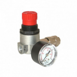 Détendeur micron 1/4 F,...