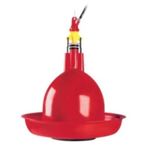 Abreuvoir complet DINDON...